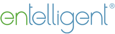 Entelligent Solutions logo