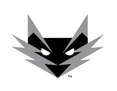 SilverSky logo